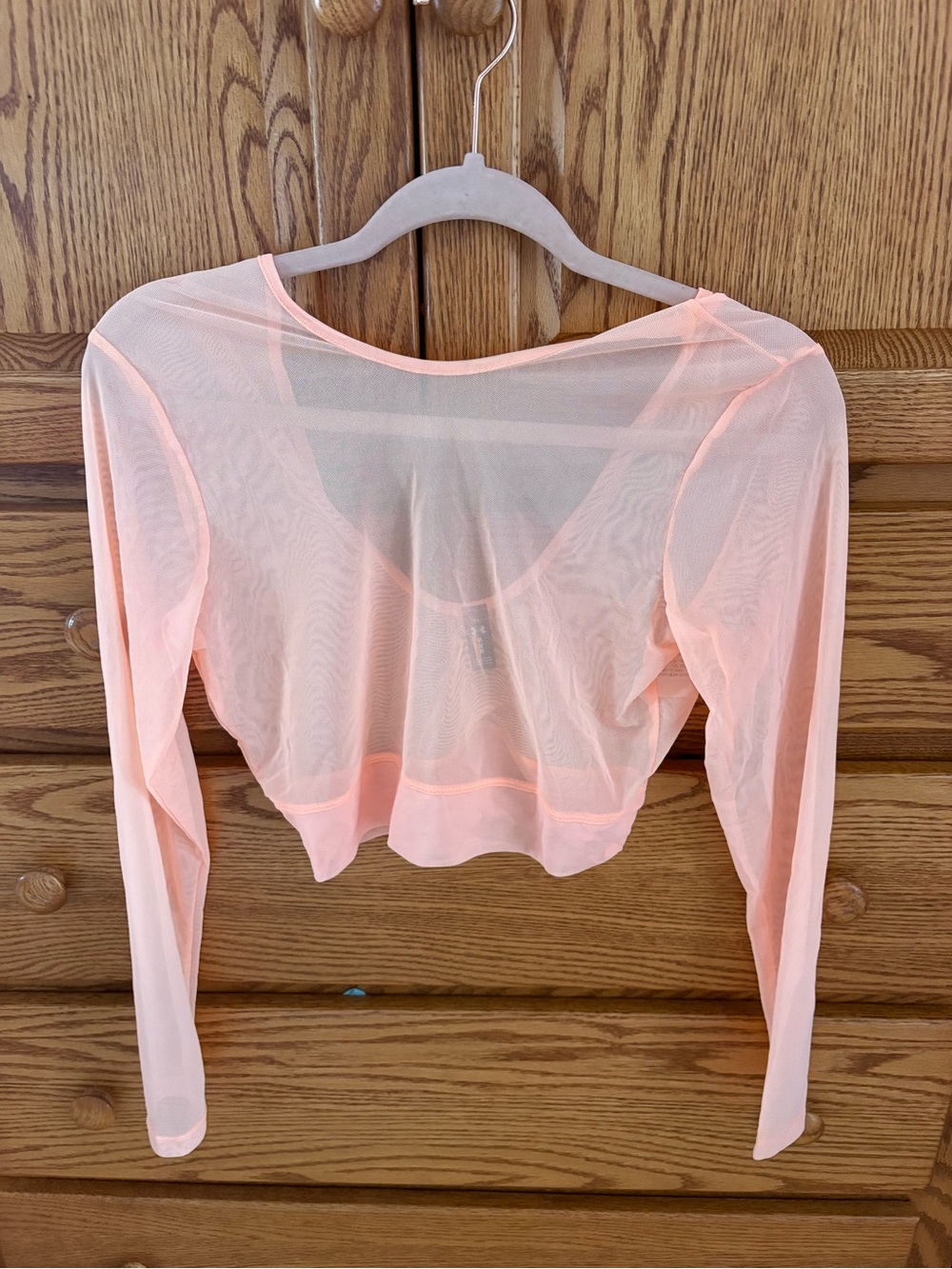 Under Armour Peach Sheer Long-Sleeve Crop Top